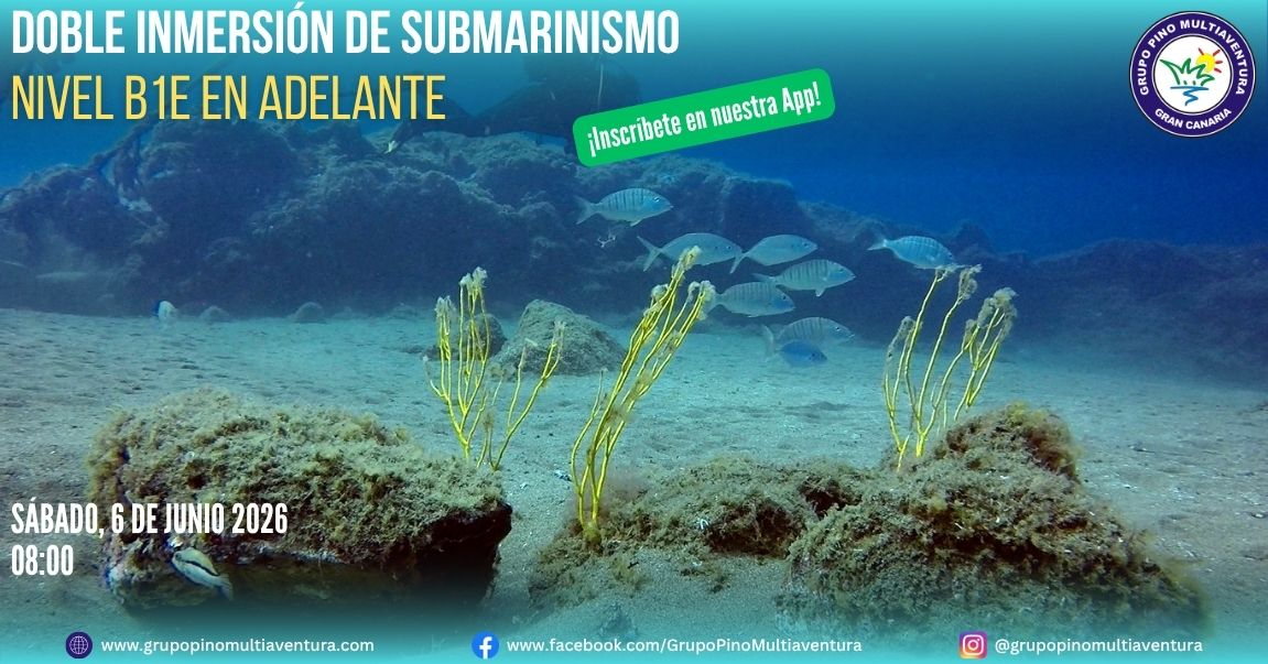Buceo