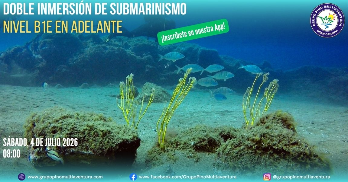 Buceo