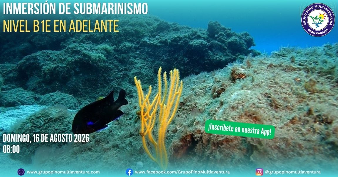 Buceo