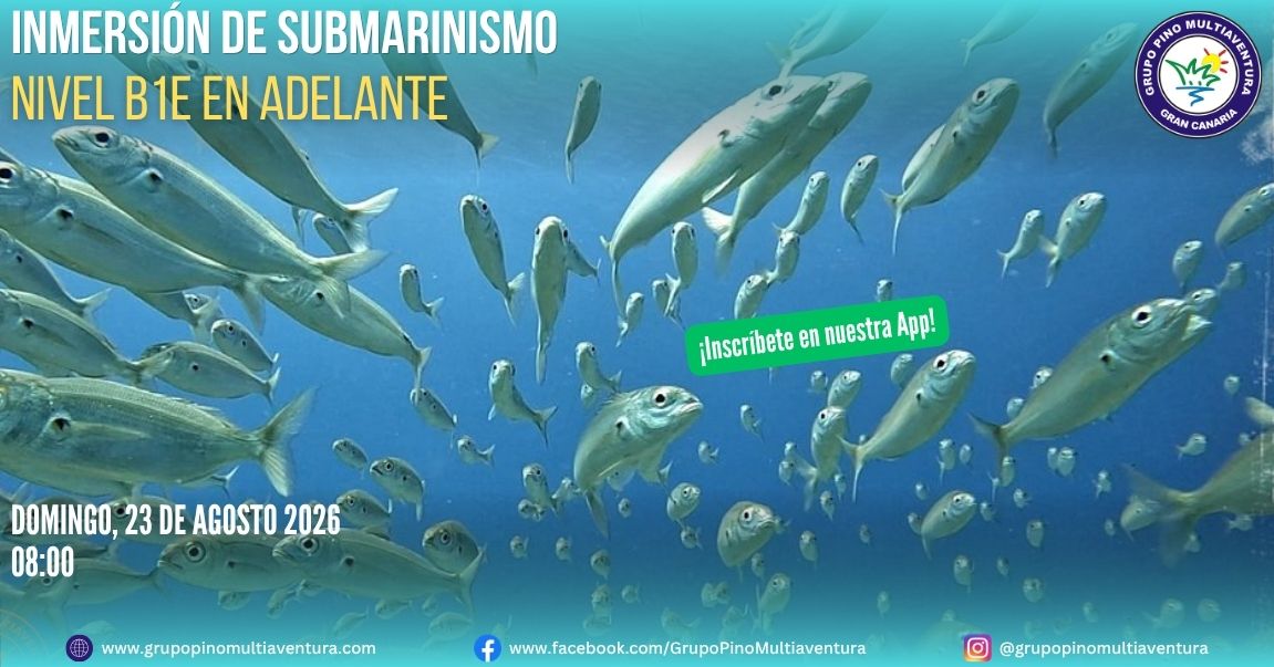 Buceo