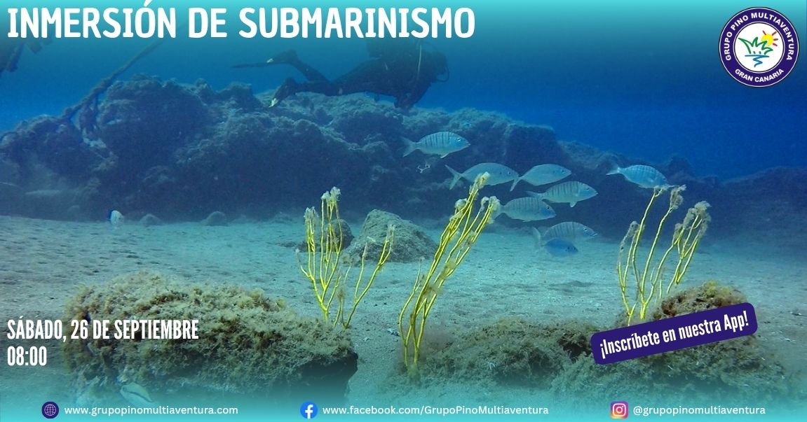 Buceo