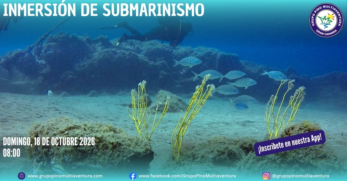 Buceo