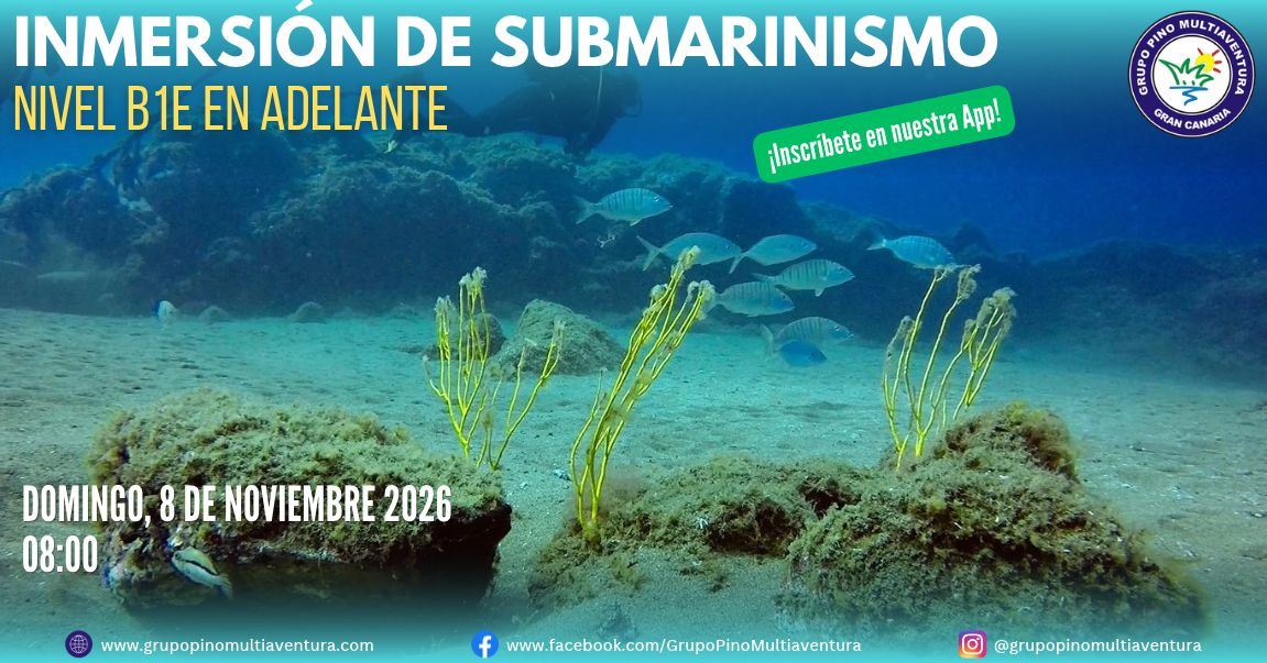 Buceo